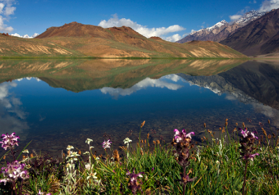 Journey from Kaza to Chandertal Lake