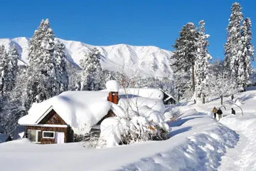 Srinagar Gulmarg Srinagar