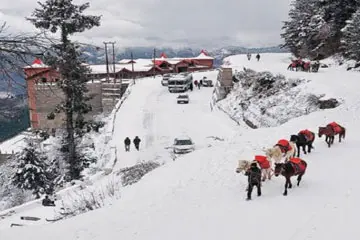 Shimla Full Day Sightseeing