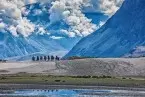 Leh-Nubra Valley