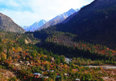 Local Sightseeing from Sangla to Kalpa