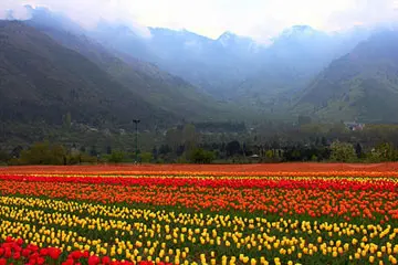 Patnitop - Srinagar