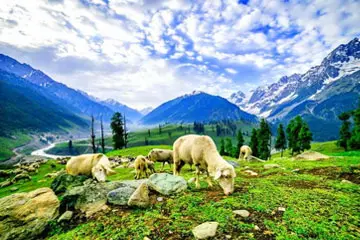 Jammu Pahalgam Srinagar Gumarg Katra 7 Days Tour